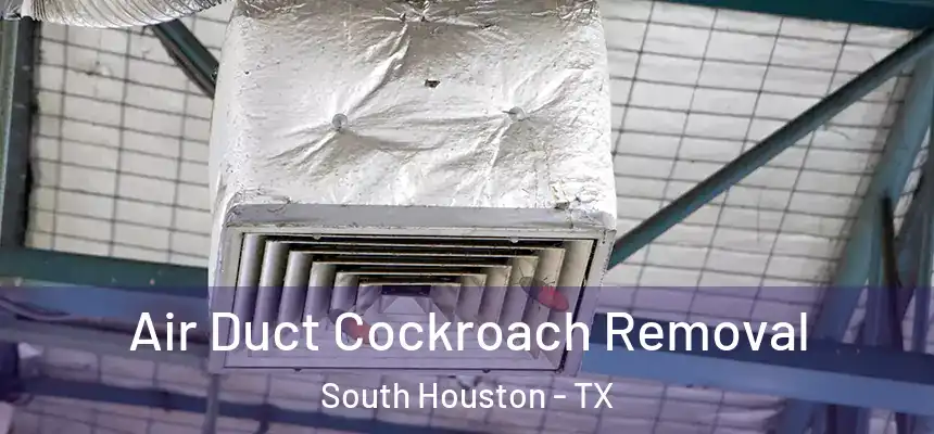  Air Duct Cockroach Removal South Houston - TX