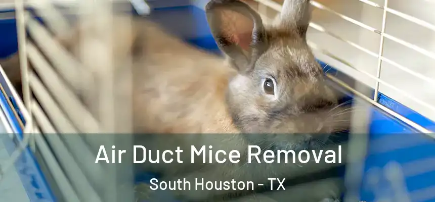 Air Duct Mice Removal South Houston - TX