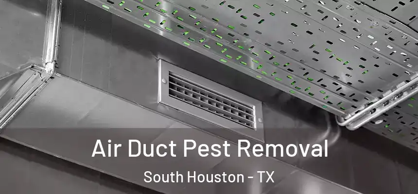 Air Duct Pest Removal South Houston - TX