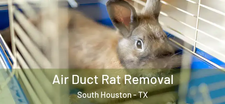 Air Duct Rat Removal South Houston - TX