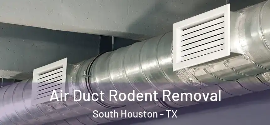 Air Duct Rodent Removal South Houston - TX