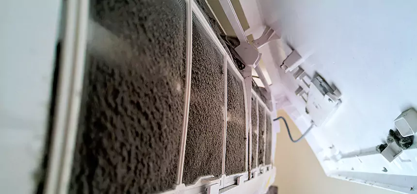 Preventive Air Duct Bacteria Removal in South Houston