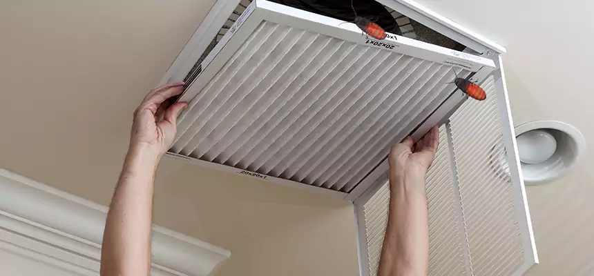 Preventive Cockroach-Proofing for Ducts in South Houston