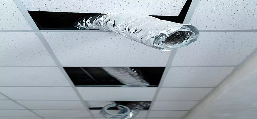 Affordable HVAC Sanitizing After Pest Removal in South Houston