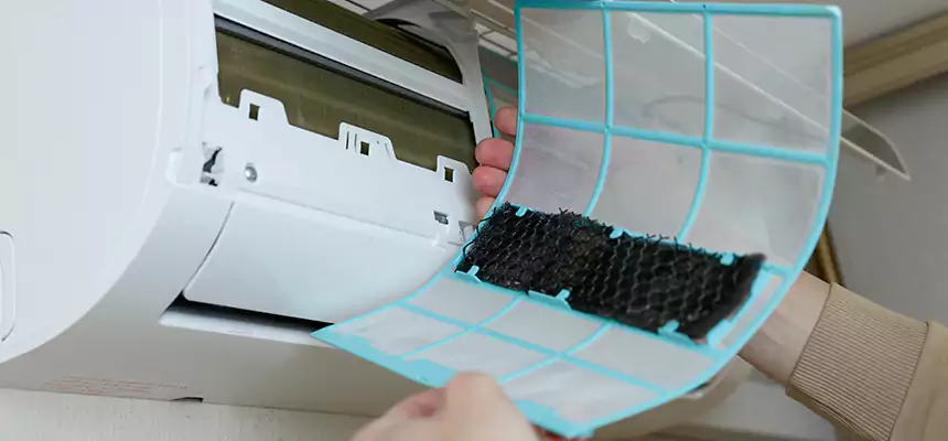 Gentle Ductwork Odor-Control Pet Dander Duct Cleaning in South Houston, TX