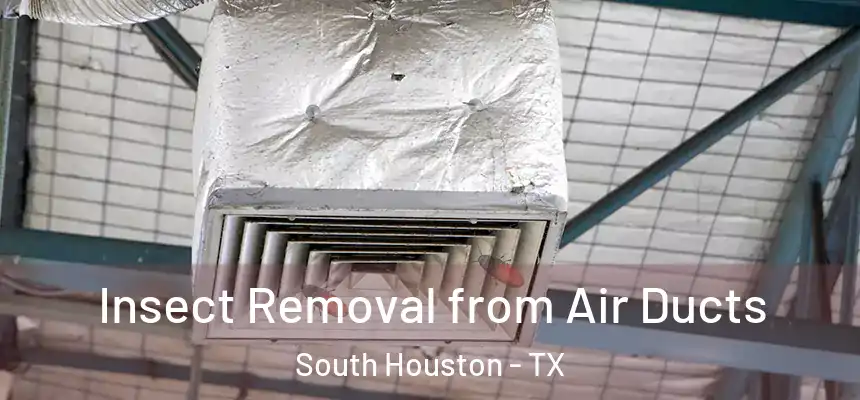 Insect Removal from Air Ducts South Houston - TX