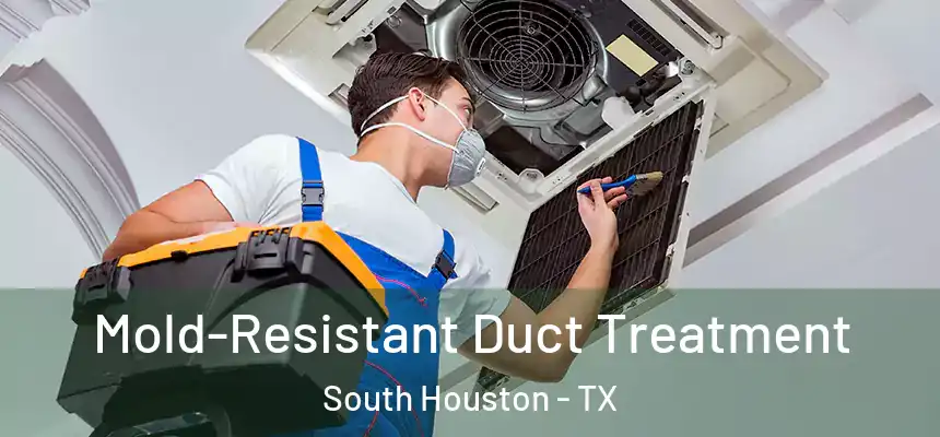  Mold-Resistant Duct Treatment South Houston - TX