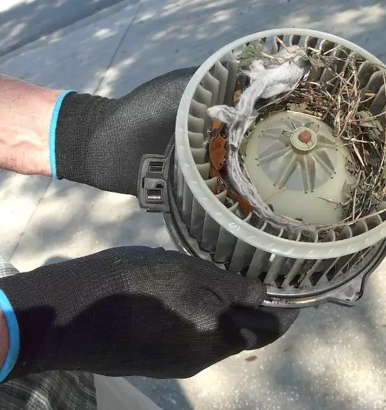 About Air Duct Mice Removal in South Houston, TX