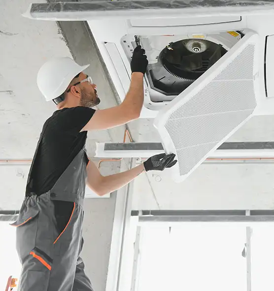 About Air Duct Rodent Removal in South Houston, TX