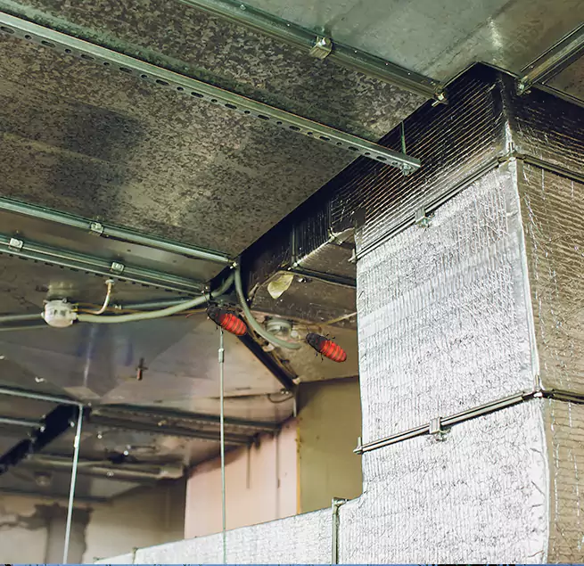 Why Homeowners & Businesses Trust Us in South Houston, TX?