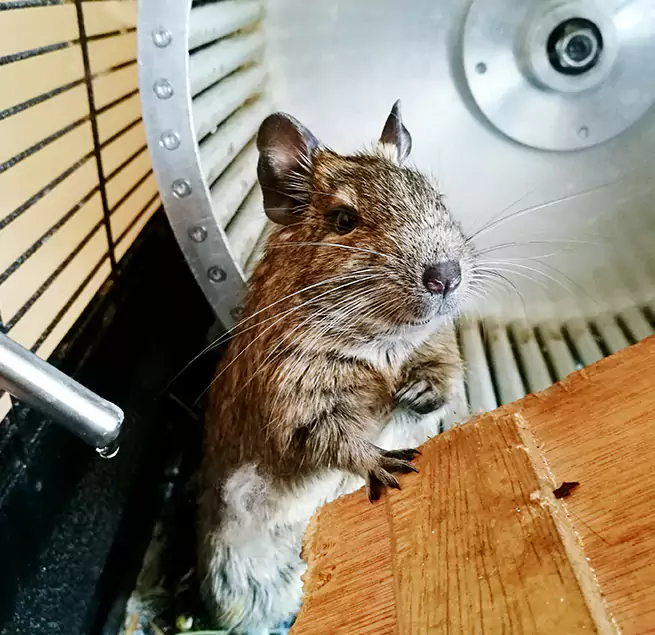 Why Homeowners & Businesses Trust Us South Houston, TX