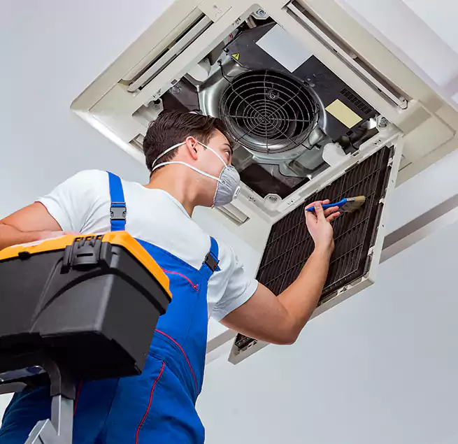 Why Homeowners & Businesses Trust Us in South Houston, TX