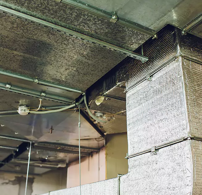 Why Homeowners & Businesses Trust Us in South Houston, TX?