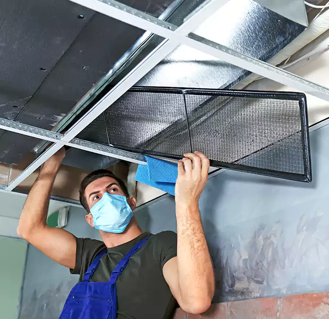 Why Homeowners Businesses Trust Us in South Houston, TX